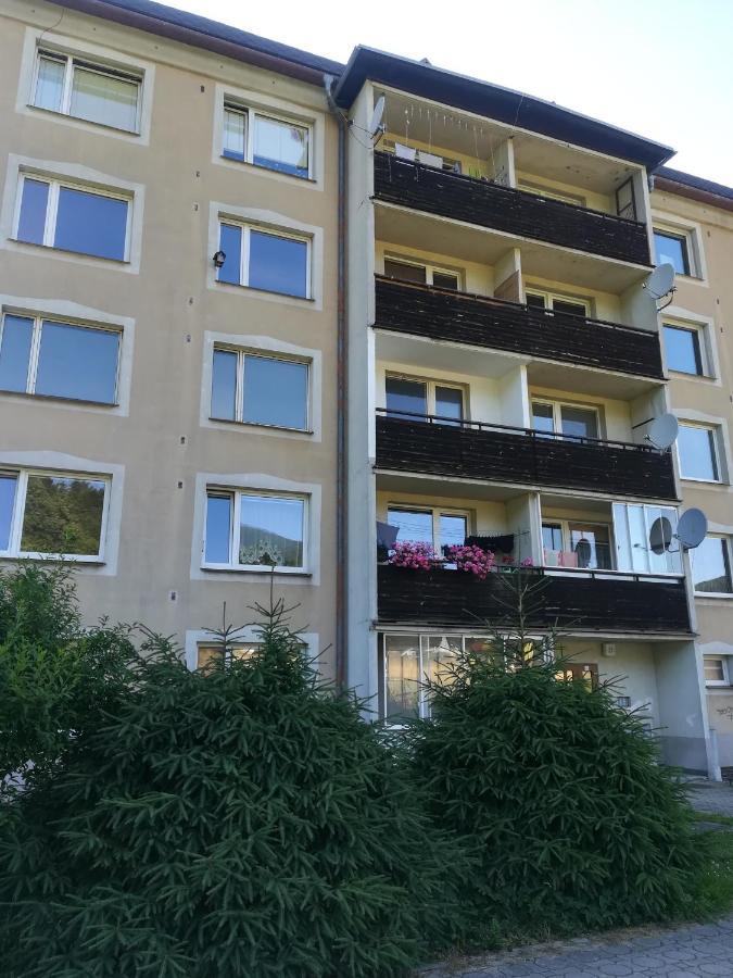 Appartement Apartman 21 à Loučná nad Desnou Extérieur photo